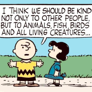 The Wisdom of Charles Schultz – The Lounge – The Diecast Zone Forums