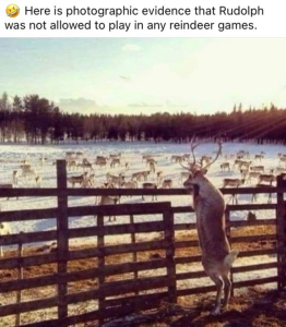 Rudolf. – The Lounge – The Diecast Zone Forums